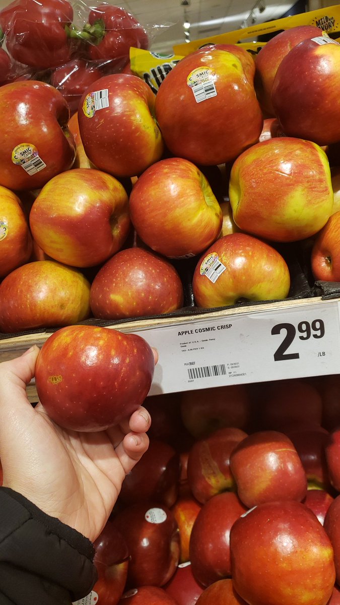 rcgoulet's tweet image. Last January, I wrote about the newest apple variety; the #CosmicCrisp, for the #IngeniumChannel ' #3Things! I am excited to announce it is now ours to behold!! ⭐🍎⭐