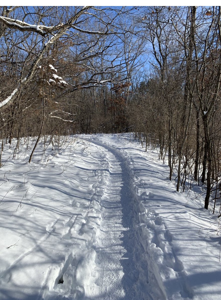 BLStriders's tweet image. Meanwhile in Wisconsin...