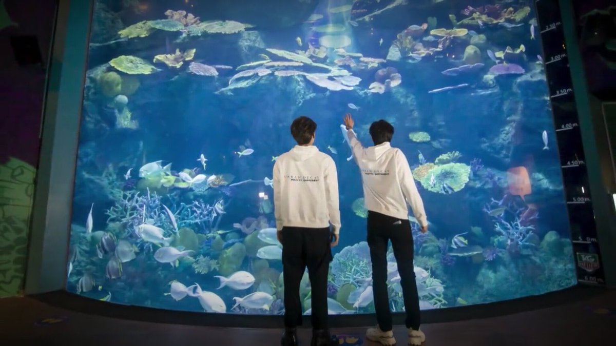 how splendid this was, UD knew we’d been waiting for gupi to play soccer w mew n they accommodated just that, invited mildkaownah to spice it up cz we said it’d be fun w no host, invited AGAIN one of their fav idols lipta n even brought mewgulf on an actual date at the aquarium