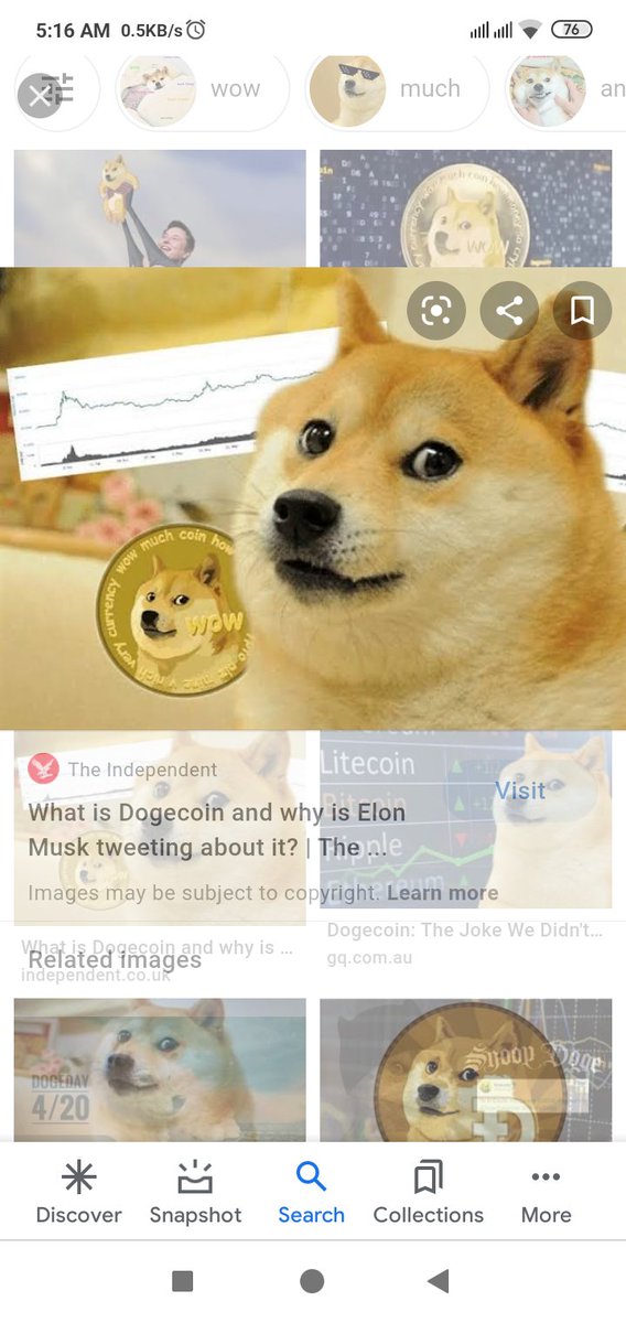 #dogcoin #LOTOKEN
