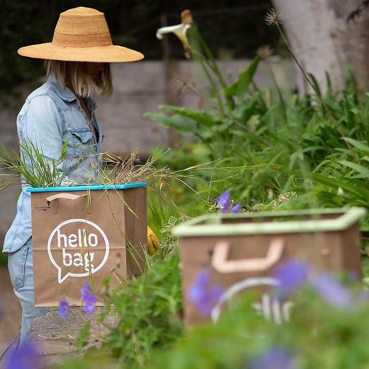 TheHelloBag's tweet image. Composting is an excellent way to reduce waste and improve the health of your flowers or vegetable garden.
#sustainability #ecofriendly #hellobag #thinkgreen #greeninspiration #ecoproducts #tipsandtricks #earthday #environmentallyfriendly #livegreen #gogreen #reuserevolution #eco