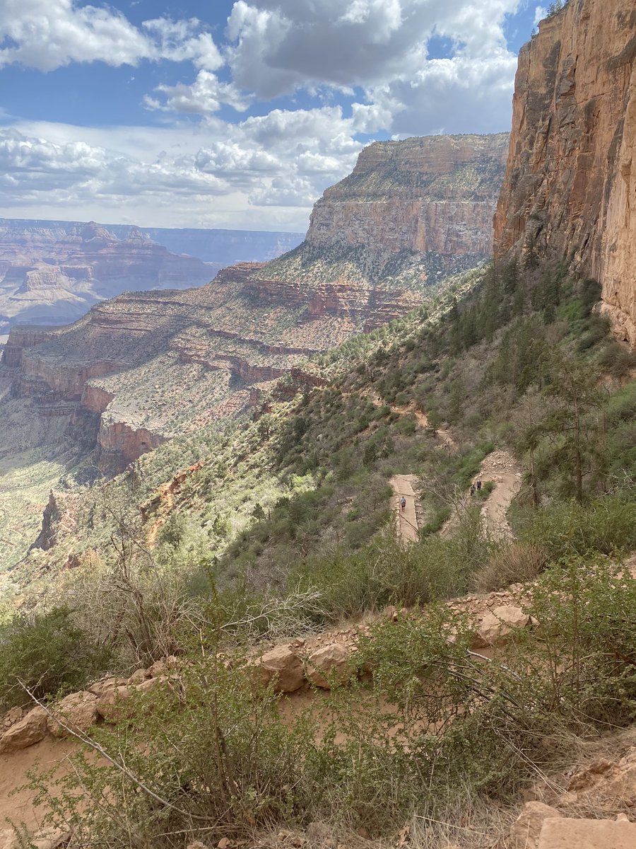DebHrecruiter's tweet photo. @POTUS Our most recent vacation included stops at 3 National Parks. The Grand Canyon, Painted Dessert and Petrified Forest and Saguaro National Park. One of the best vacations we’ve had. https://t.co/vAHss8gXW3