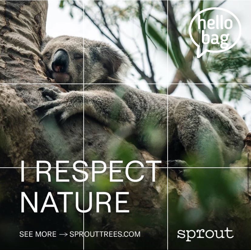 TheHelloBag's tweet image. This year hello bag is not only helping people reuse their paper grocery bags, beginning this EarthDay, Hello bag and Sprout will be working together in this effort!
.
.
#hellobag #lifehacks #sprouttree #sustainable #ecofriendly #lifestyle #sprout #lifeisbeautiful @sprouttrees