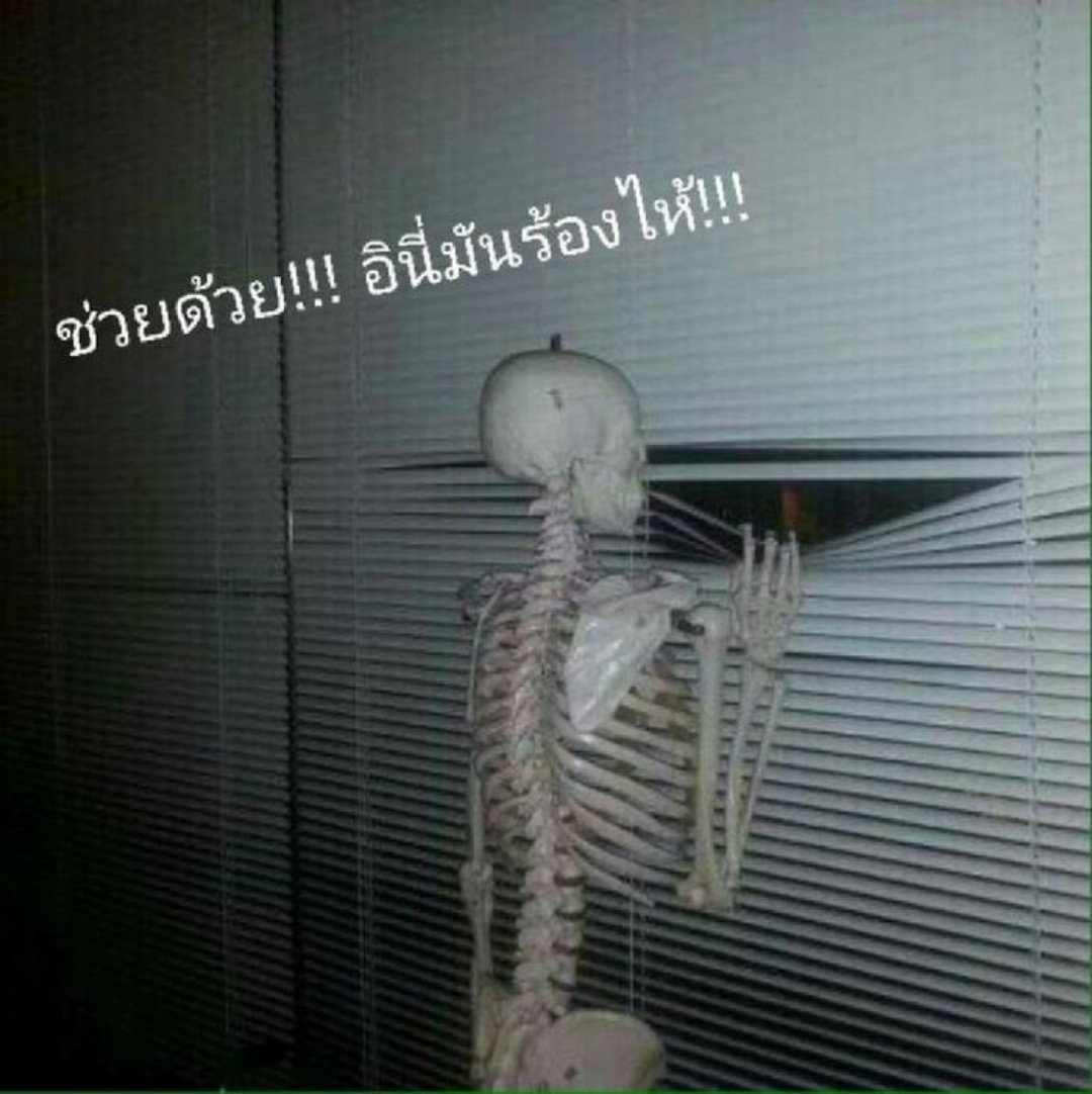 นีน tweet media