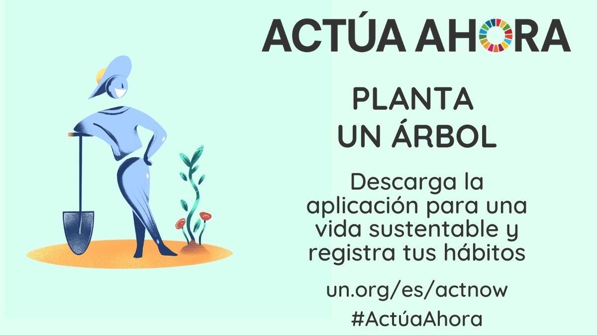 Planta un árbol 🌳
Reduce tu desperdicio 🍝
Recicla ♻
Compra localmente 🏘

Más ideas para la #AcciónClimática, #ActúaAhora y celebra el #DíaDeLaMadreTierra todos los días. 👉 un.org/es/actnow