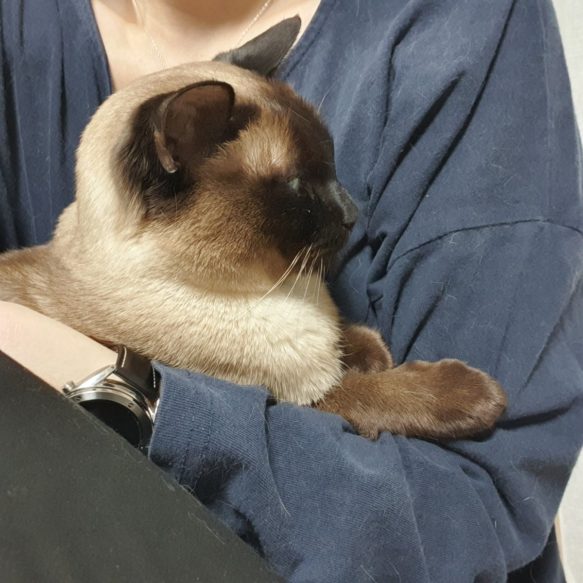 여전히 엄마품이좋은 9짤애기