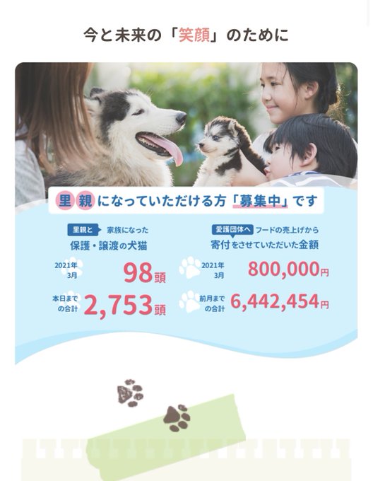 チワワの売れ残りはどこへいく 里親になるにはどうすればいいの 空さんぽ
