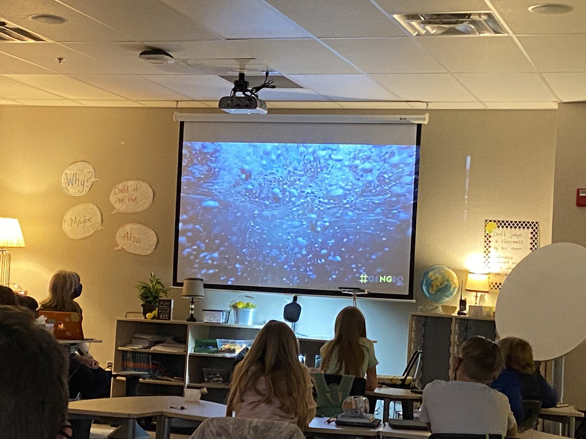 dmlcjo's tweet photo. HHES 3rd grade on a virtual field trip to the Deep Blue Ocean to celebrate Earth Day with 3 #NatGeo Explorers! #WeAreHuskies #ExploretheWorld  Did you know more than 80% of the ocean is unmapped, unobserved &amp; unexplored? https://t.co/EayGfKMReI