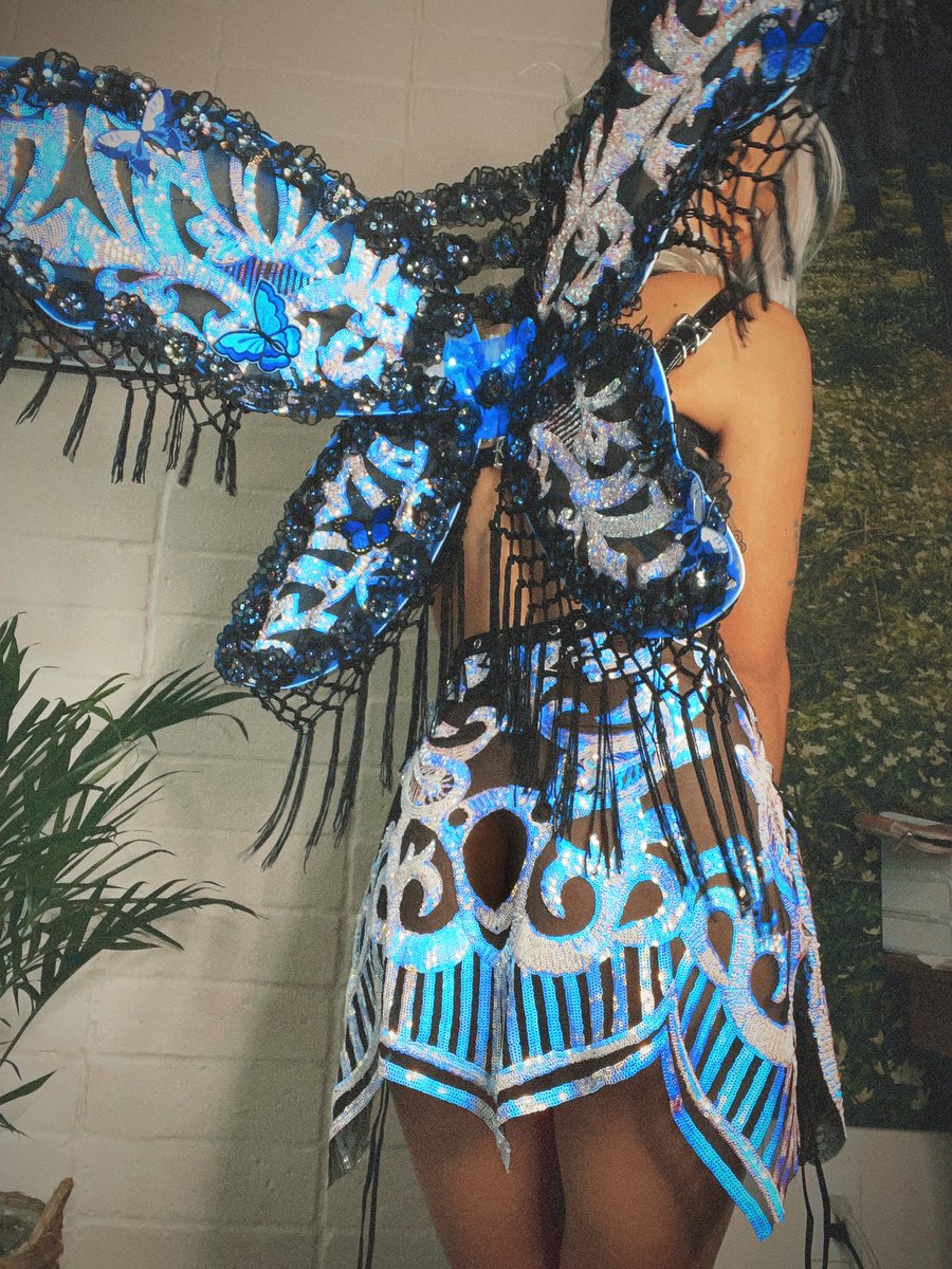 discolem's tweet photo. custom fairy wingz 🦋 https://t.co/asEht9HyNg