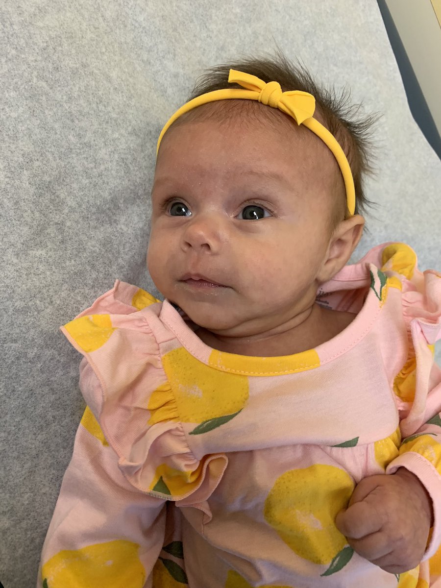 regratz87's tweet image. My newest coworker is a bit mouthy... but boy is she cute!! #futurecoder #eloiseruth