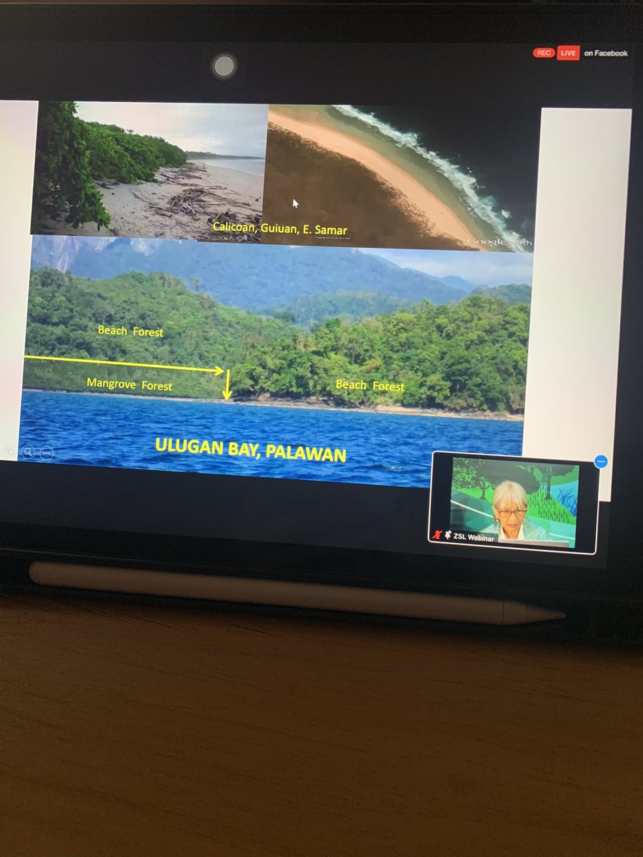 Beach forest species webinar by ZSL 