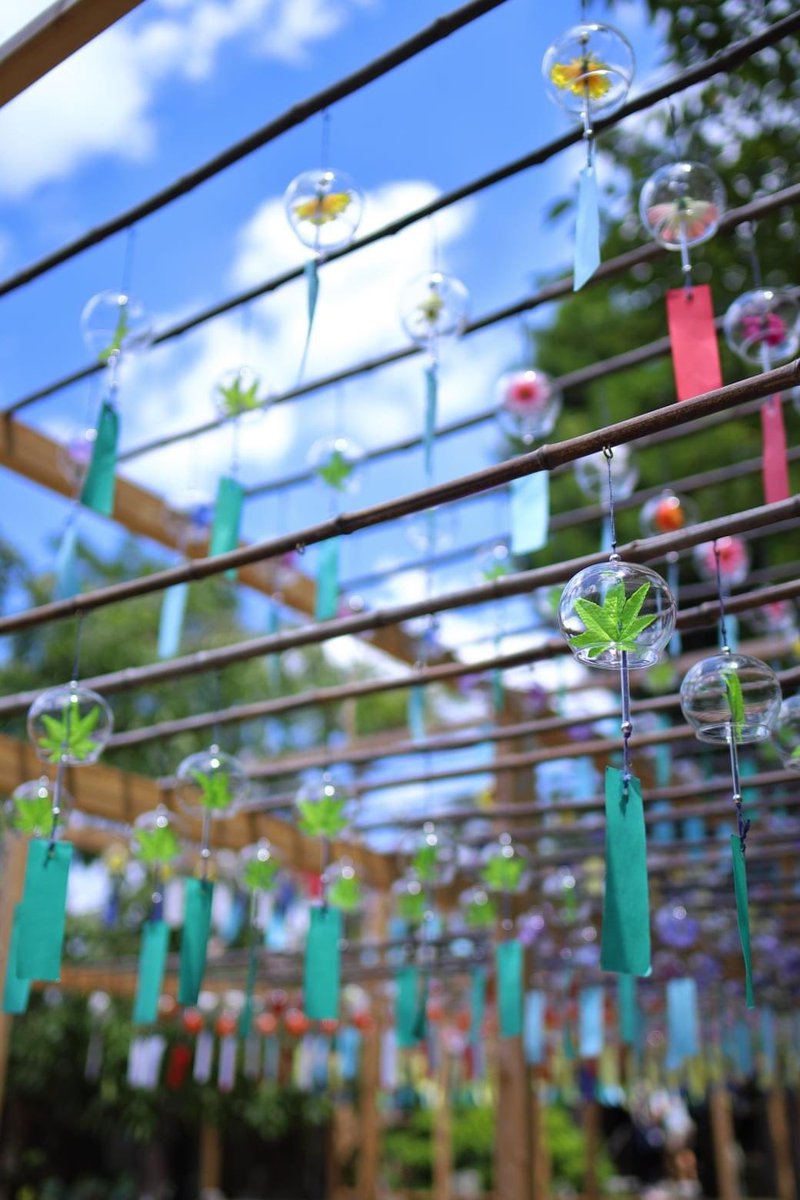 正寿院 Shoujuin A Twitter 当院風鈴まつりの代名詞となっている 花風鈴トンネル 夏に咲く花や青もみじなど 1個1個手作りで月毎に吊り換えられます 5月青もみじ風鈴 6月アジサイ風鈴 7月8月ひまわり風鈴 9月コスモス風鈴 となります 正寿院