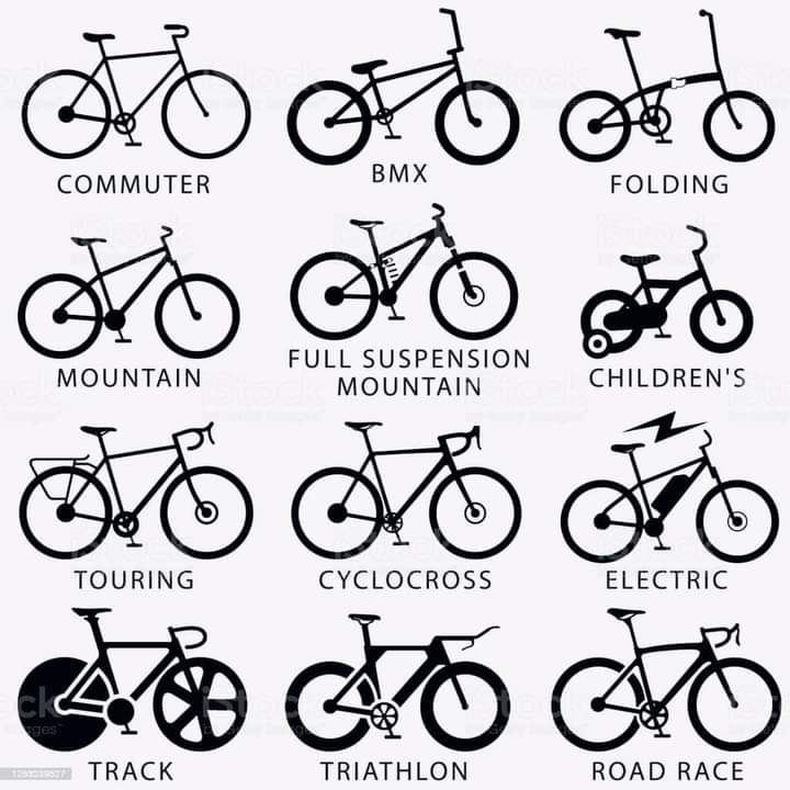 Ямар төрлийн дугуй унах дуртай вэ?