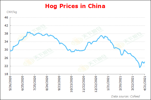 Cofeed5's tweet image. Year to date, China's hog prices have been consecutively fallen from high levels and still carry the potential to further descend.

en.cofeed.com/hog/
#hog #pig #price