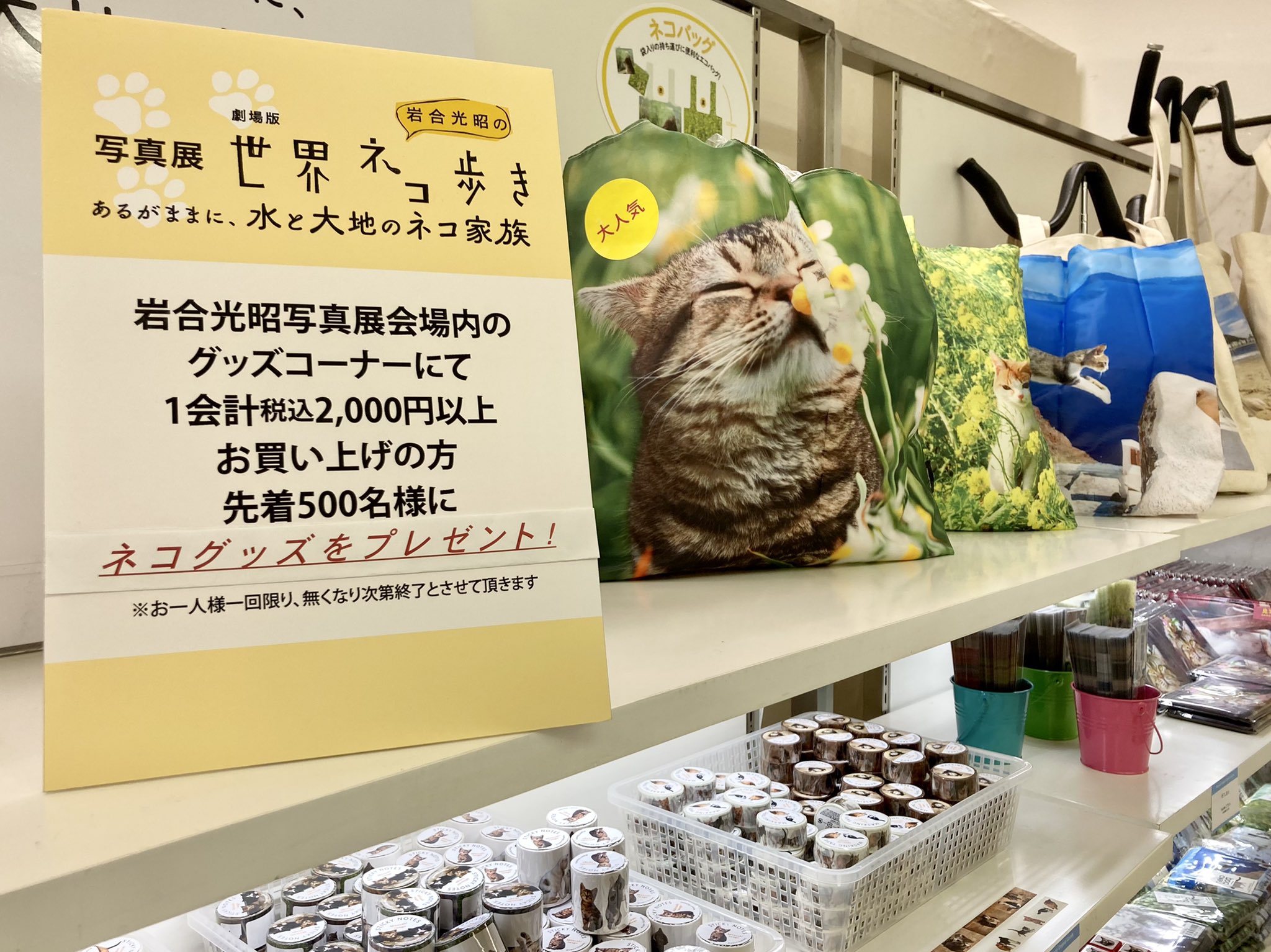 広島の百貨店 福屋のフックン ねこ好き なお母さんへ 母の日ギフト にもおすすめです 写真展 劇場版 岩合光昭の世界ネコ歩き あるがままに 水と大地のネコ家族 5 4 火 祝 まで 八丁堀本店8階催場 岩合光昭写真展 写真展 ねこ 21福屋の