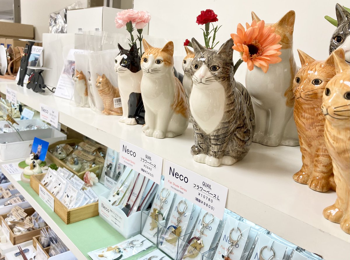 広島の百貨店 福屋のフックン ねこ好き なお母さんへ 母の日ギフト にもおすすめです 写真展 劇場版 岩合光昭の世界ネコ歩き あるがままに 水と大地のネコ家族 5 4 火 祝 まで 八丁堀本店8階催場 岩合光昭写真展 写真展 ねこ 21福屋の