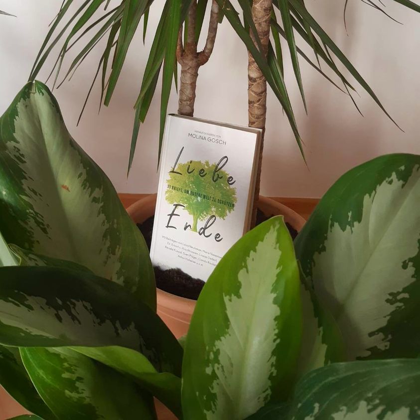 MolinaGosch's tweet image. Liebe Erde,
deine Natur ist die unbezwingbare Quelle des Lebens. Doch unser Wirtschaften beruht darauf, dich zu zerstören. Aber immer mehr Menschen kämpfen für dich🙌

👉 Mehr #Klimahoffnung in #LiebeErde 📖

👉Lesen, Lieblingsgründe finden, loslegen!🌎😍
#tagdererde #EarthDay