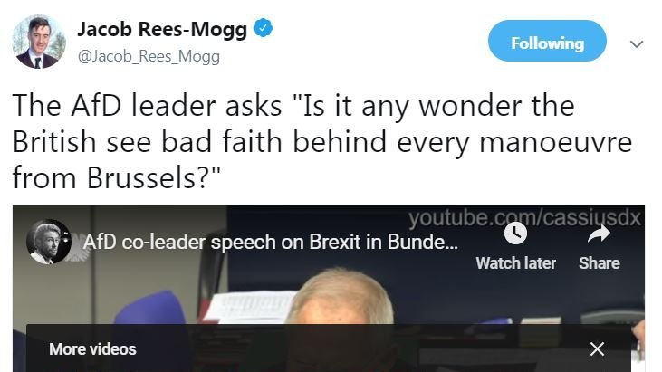Jacob Rees-Mogg, who just weeks before had shared a video by the neo-Nazi AfD party, & has called Jewish Tories "members of the illuminati", also criticised Lammy:"Mr Lammy lessens his arguments by the use of such foolish language. It trivialises any comments he may make."