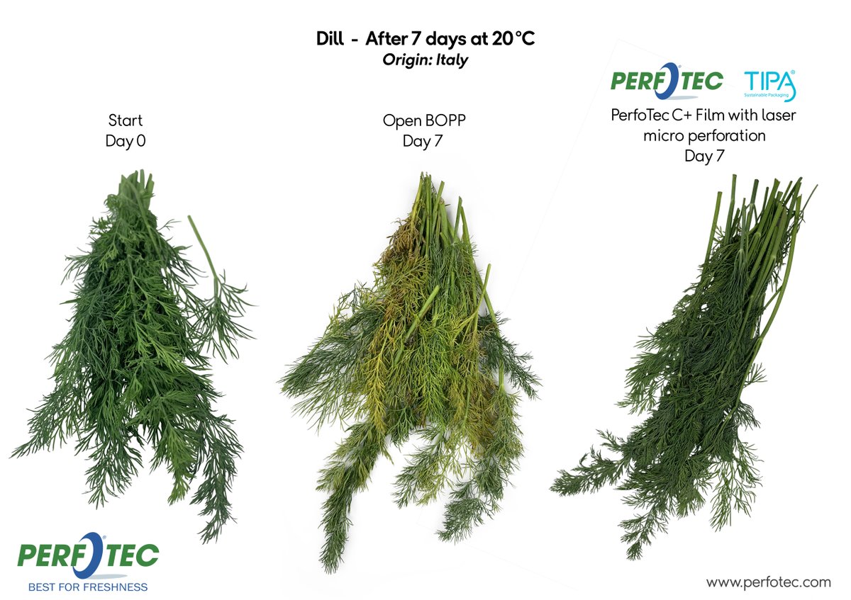 Fresh looking #herbs stored at 20°C. No, they don’t have to turn yellow, brown and soft within 3 days. They can actually be tasty and green after 7 days! Our next example is #dill. 

Together with <a href="/TIPACorp/">TIPA-Corp</a> film, we achieved 7+ days of #freshness with Dill at 20°C.