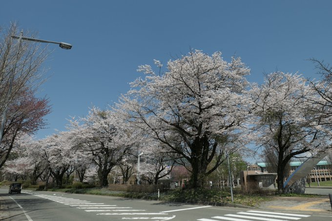 Popular Tweets Of 岩手県大 総合政策学部 1 تحليلات تويتر الرسومية الخاصة بهوتويت Whotwi