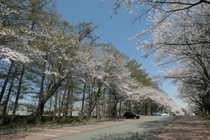 Popular Tweets Of 岩手県大 総合政策学部 1 تحليلات تويتر الرسومية الخاصة بهوتويت Whotwi