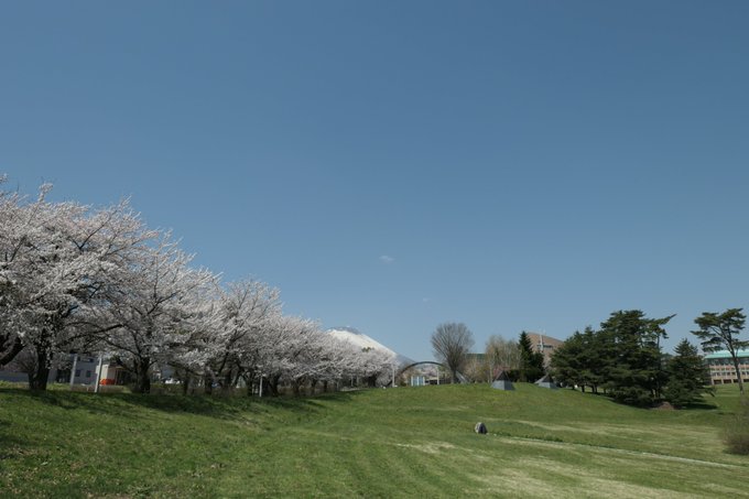 Popular Tweets Of 岩手県大 総合政策学部 1 تحليلات تويتر الرسومية الخاصة بهوتويت Whotwi