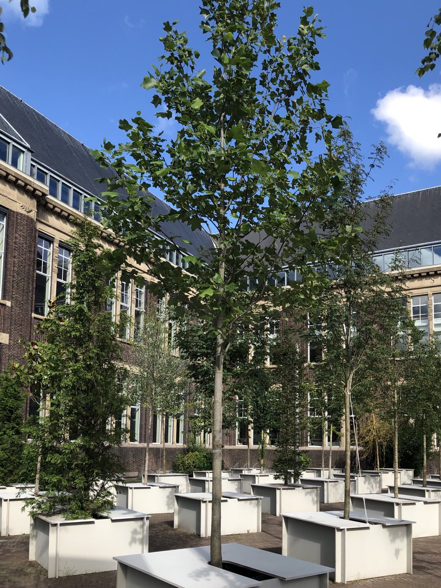 Happy earth day from all the #urbanclimatearboreta team! ⁦@PijpersVan⁩ ⁦<a href="/BKTUDelft/">BK TUDelft</a>⁩ ⁦<a href="/LandArchTUDelft/">LandscapeArchTUDelft</a>⁩ ⁦<a href="/UrbanismTUDelft/">UrbanismTUDelft</a>⁩