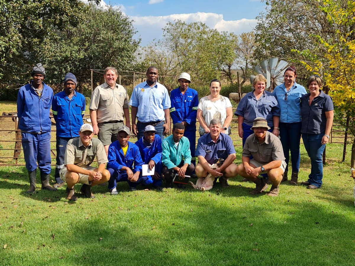 Livestock Management Course in Carolina, Mpumalanga provided valuable training for farm laborers on sheep management practices 
facebook.com/NWGA-679678912…
#wool <a href="/VirbacFarm/">Virbac Farm</a>