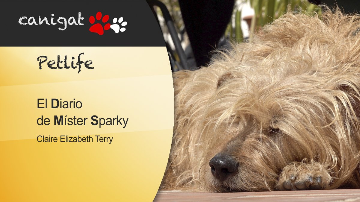 podéis ver la vídeo entrevista de la escritora Claire Elizabeth Terry donde nos habla de su libro sobre el confinamiento con su peludo Mister Sparky canigat.com