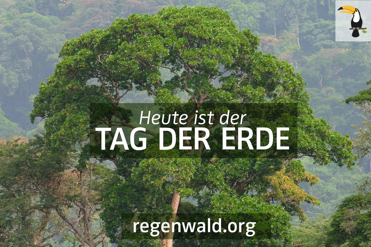 RettetRegenwald's tweet image. 🌎 Heute ist der Tag der Erde 🌍 
Jeder von uns kann Ressourcen schonen &amp;amp; umweltbewusster Leben.      
👬 Lasst uns gemeinsam Handeln 👫
Nicht nur heute, sondern jeden Tag 💚
#happyearthday #tagdererde  #EarthDay #EarthDay2021