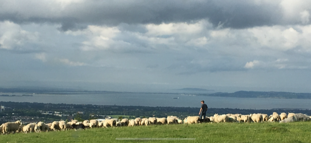 IncaseProject's tweet image. This #EarthDay read our latest update on #INCASEproject - Ireland&apos;s pilot #NaturalCapital scheme  - recent activities and news of upcoming events @NatCap_Irl #Data4Nature @CIEEMnet @ESPartnership @SERestoration @carl_obst @seewilkie - mailchi.mp/f52f66af9c7f/i…