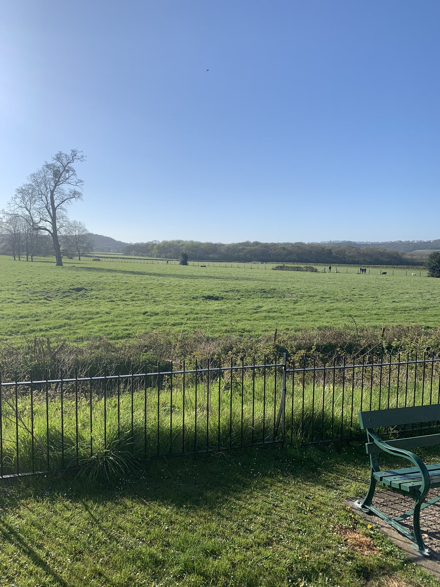 Webbers12's tweet image. The morning commute 😀☀️#Somerset