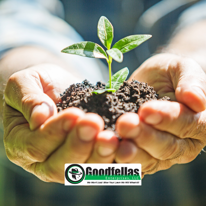 Happy #EarthDay2021! Check out 15 Meaningful ways to celebrate Mother Earth: bit.ly/2QPNOpu
#ThursdayMotivation #tree #GardenersWorld