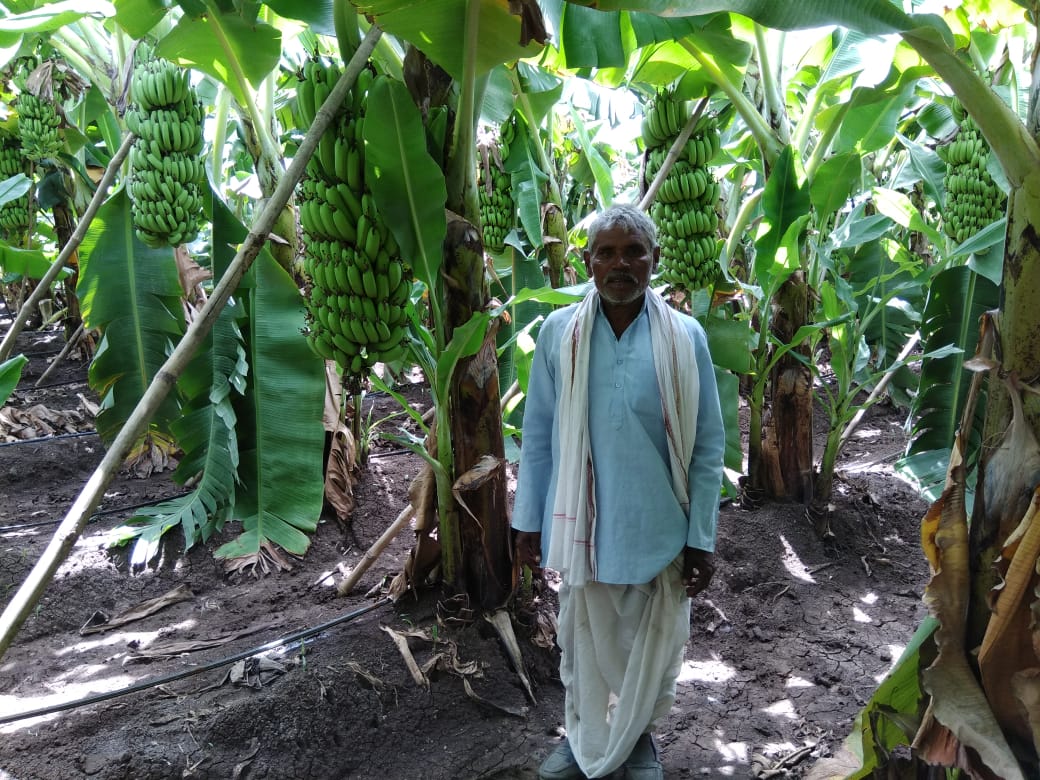 hwagh1977's tweet photo. @PMOIndia
@CMOMaharashtra
@dadajibhuse

Why cant be babana get MSP. When we farmers produce bumper crop, traders dump the rates. Can be there oyo concept run in Agriculture fresh comodity  with private online desk with govt control 🙏🙏 https://t.co/dfZAxJETur