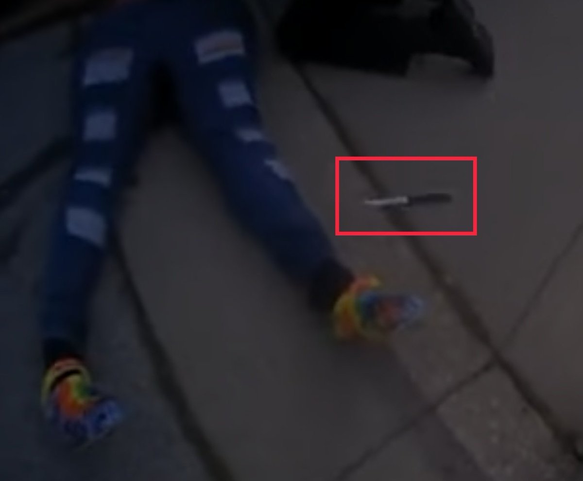 This is the knife the child was holding. People on this platform are acting like she was holding a Jim Bowie knife, and was about to gut the girl in pink. I watched the video in slow motion a dozen times, and the cop had his hand on his firearm as soon as he existed his cruiser.