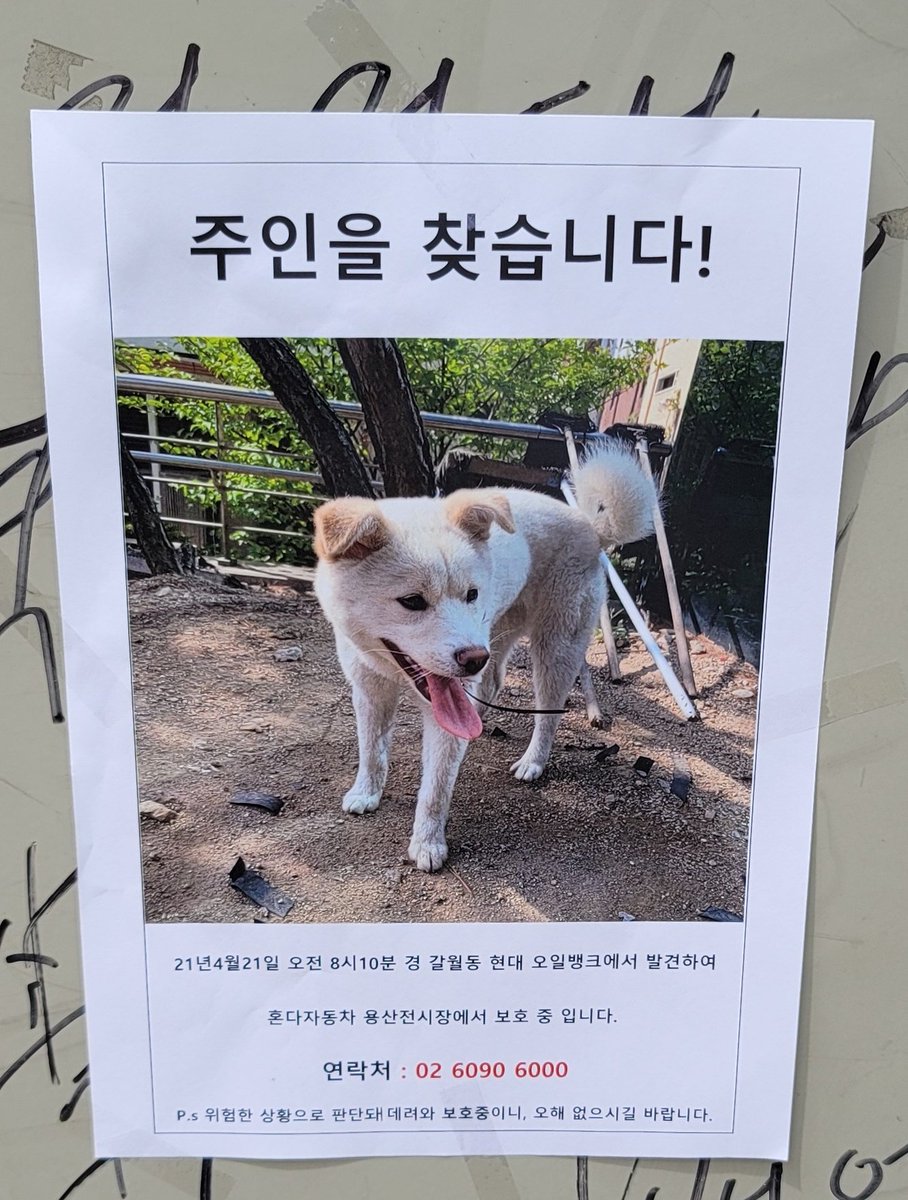 comete_0926's tweet photo. 주인 찾는다고 하네요, 리트윗 한번만 부탁드립니다! https://t.co/K9AT2IXFYF