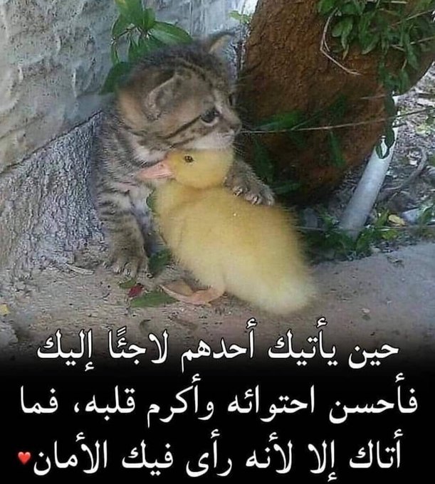 EzjV8inWQAEYwz8