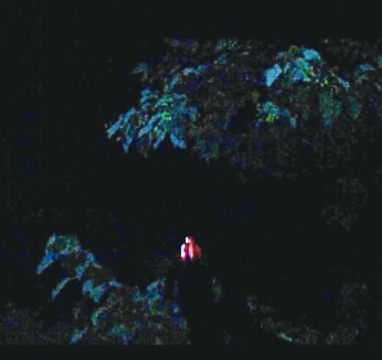 RyanDBledsoe's tweet image. Beings of light #Bledsoe #UFO