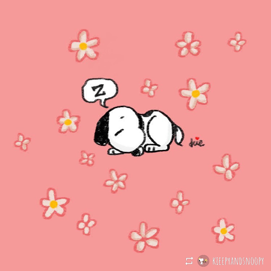 好き