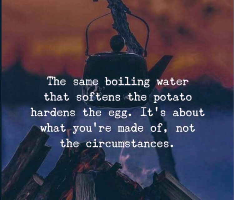 John McGrath tweet media