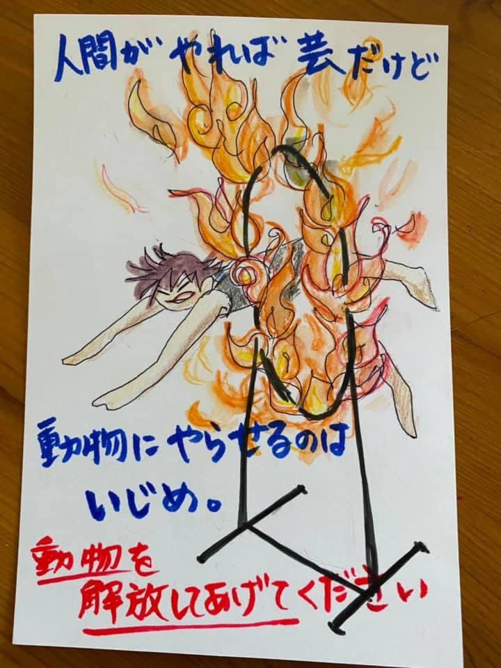 Hachidory サーカスで曲芸をやらされる動物の気持ちを考えた事はありますか 動物は本来火が怖い ですし 四足歩行動物がボールに乗るのは大変なことです 少し教えただけではやる訳がありません サーカスは動物の飢え 渇き 痛みなどの虐待で成り立った