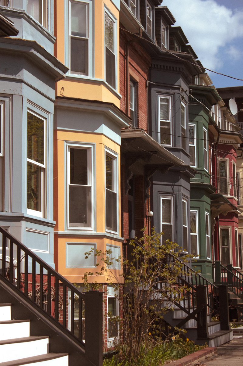 dana tweet media