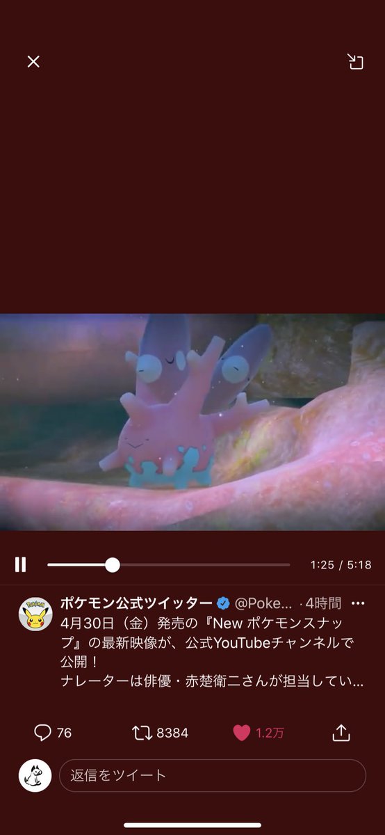 サニーゴかわいいのtwitterイラスト検索結果 サニーゴかわいいのtwitterイラスト検索結果