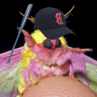 throwback to my look first day of join' tha league... things were so 🔥🍁🌹🌺❣️simple back then. i'm gonna miss it