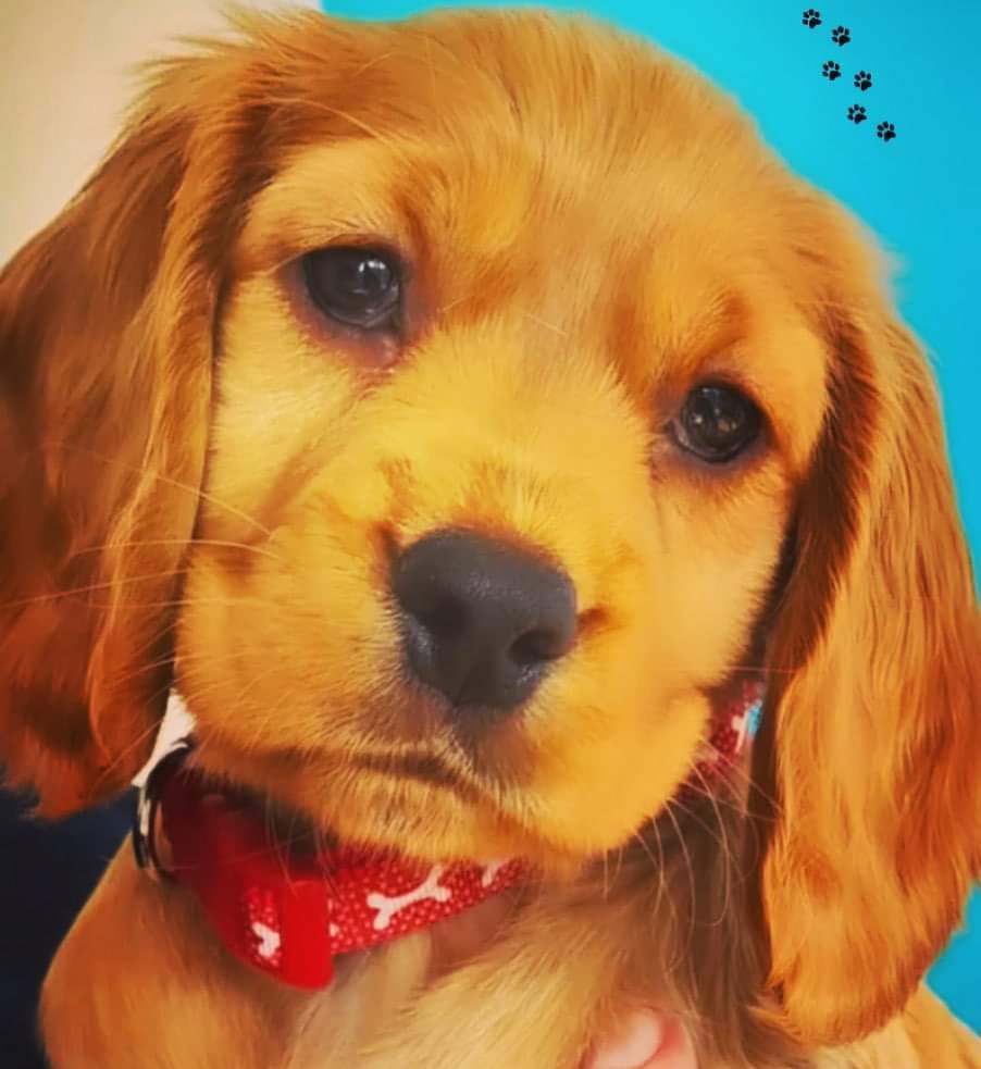 Coast Tuition tweet media