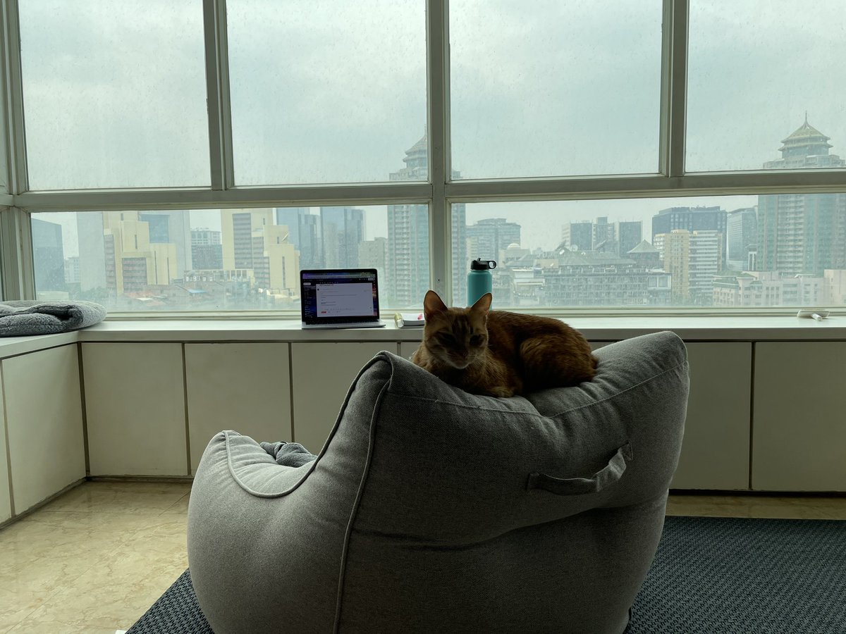 MmeLayman's tweet image. My meeting &amp;amp; workspace in 北京 🇨🇳 today to get some #edurolearning #coetail work done!