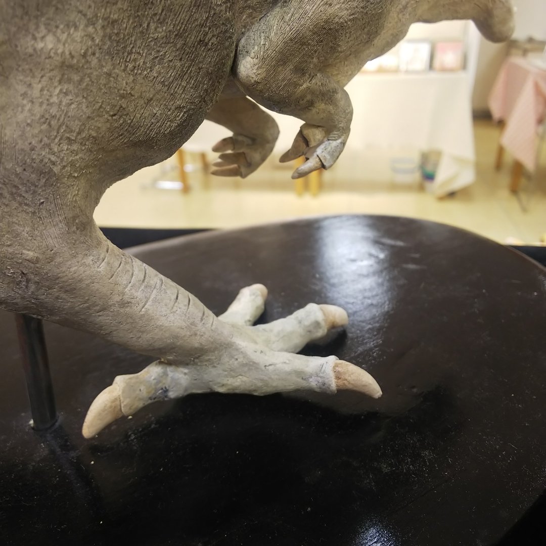 takfukinoto's tweet image. 足。

#dinosaurrider #富山大和猫フェス