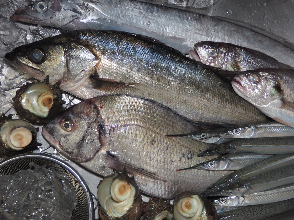 みんなの セイゴ 刺身 口コミ 評判 食べたいランチ 夜ごはんがきっと見つかる ナウティスイーツ