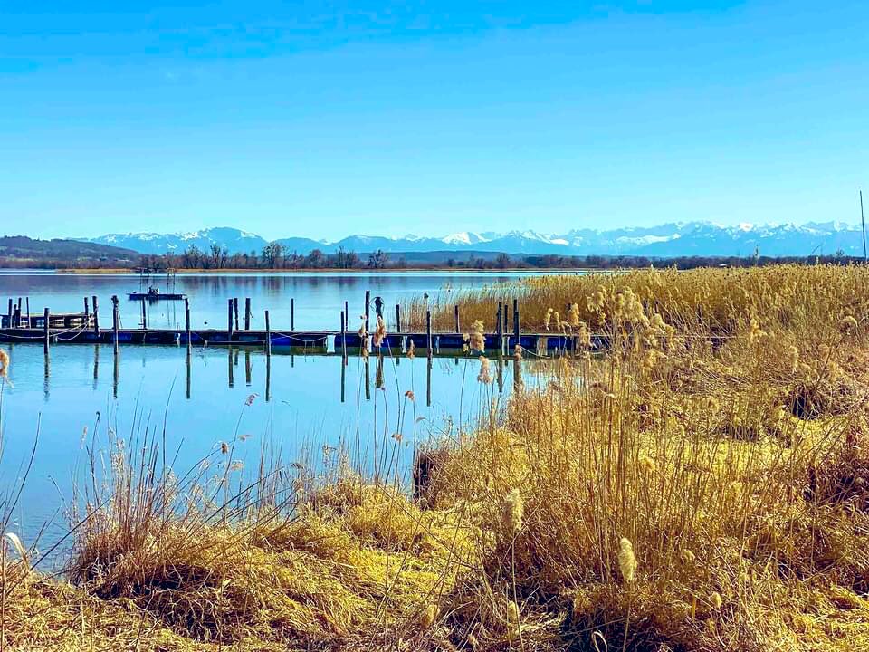 vivadihotel's tweet image. #tagdererde 
AusflugsTIPP: Naturbeobachtungsturm Ammersee - Dießen liegt im Naturschutzgebiet Ammermündung. Er befindet sich im Schilfgürtel am südlichen Ammerseeufer. Zu sehen sind einzigartige Wasservögel im Mündungsgebiet. 
Schönen Donnerstag🍀🙋‍♀️
#earthday #ThrowbackThursday