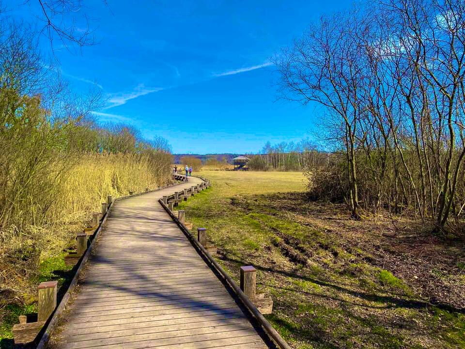 vivadihotel's tweet image. #tagdererde 
AusflugsTIPP: Naturbeobachtungsturm Ammersee - Dießen liegt im Naturschutzgebiet Ammermündung. Er befindet sich im Schilfgürtel am südlichen Ammerseeufer. Zu sehen sind einzigartige Wasservögel im Mündungsgebiet. 
Schönen Donnerstag🍀🙋‍♀️
#earthday #ThrowbackThursday